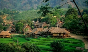 Mai Chau 01 Day Trip